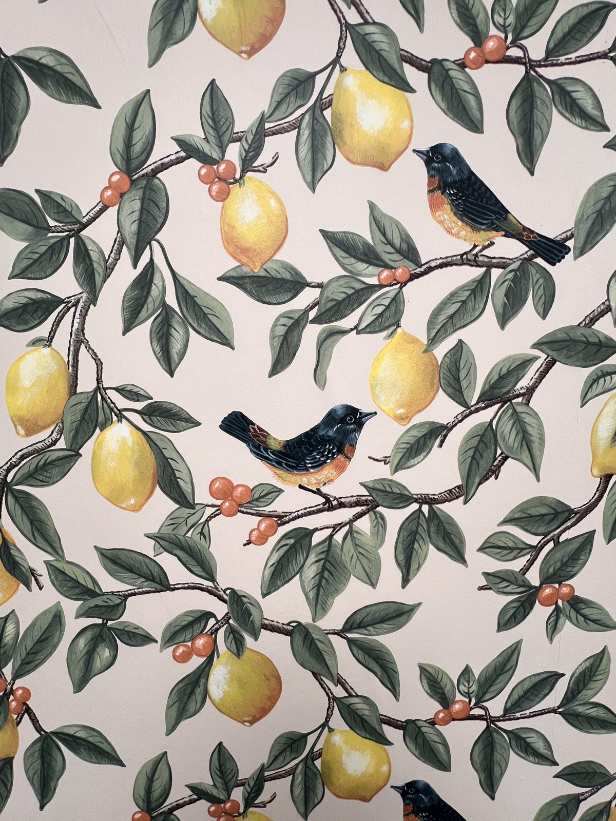 The salon's lemon and songbird wallpaper